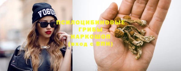дживик Алзамай