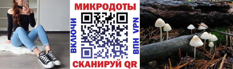 Псилоцибиновые грибы Magic Shrooms  цены наркотик  Звенигово 